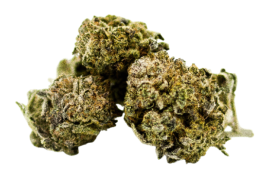 Amnésia CBD