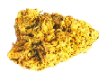 Golden bud CBD