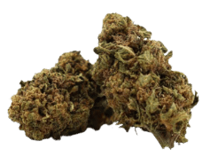 Jack Herer CBD