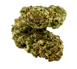 Mango Kush CBD