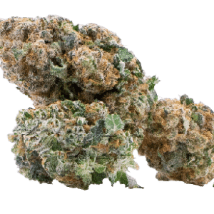Orange Bud CBG
