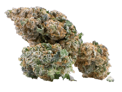 Orange Bud CBG