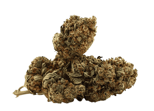 Super Skunk